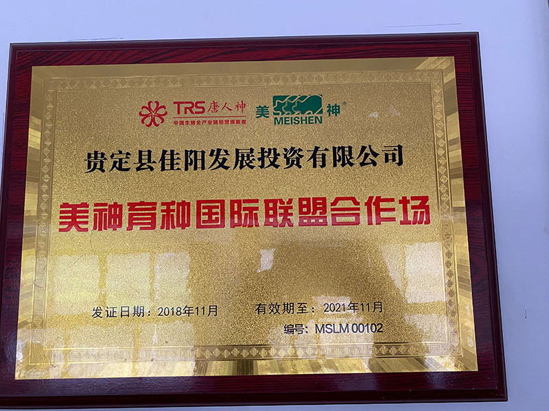 美神育種國(guó)際聯(lián)盟合作場(chǎng)